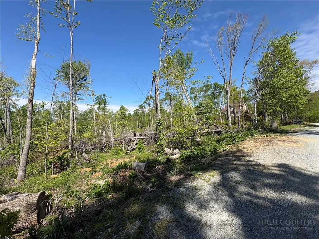 Image number 6 for the current listing