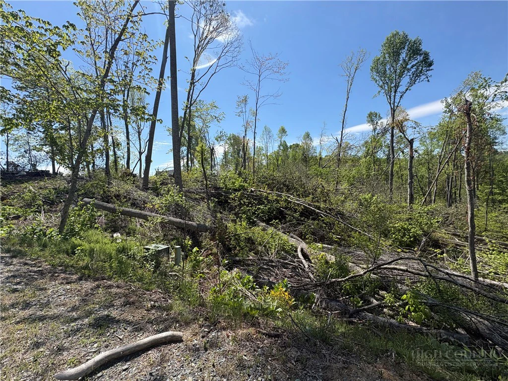 Image number 7 for the current listing