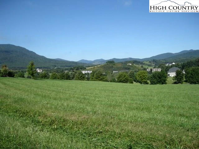 Image number 1 for the current listing