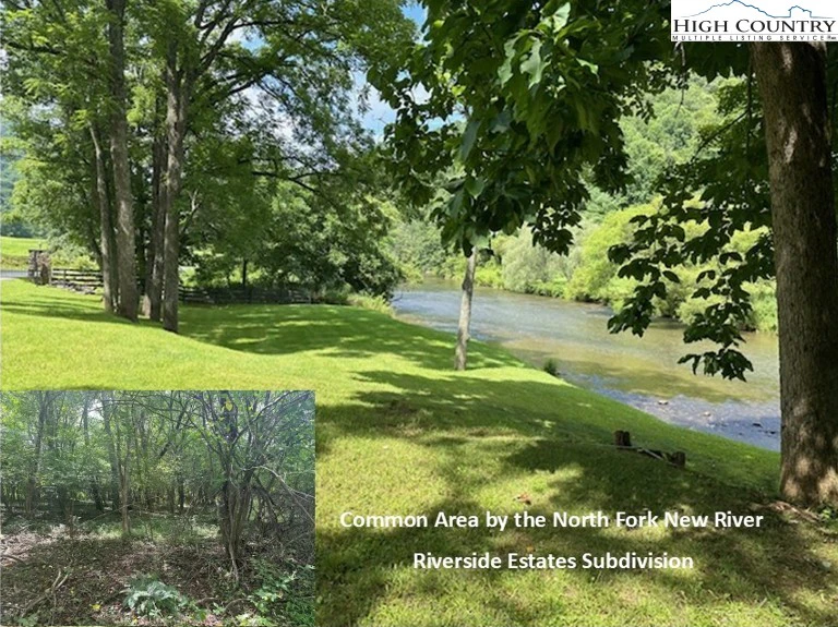 Image number 1 for the current listing