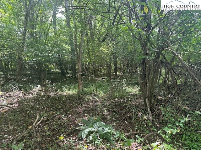 Image number 3 for the current listing