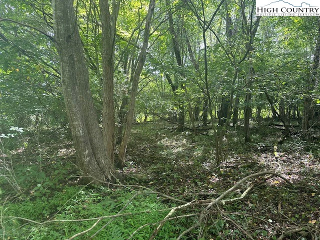 Image number 4 for the current listing