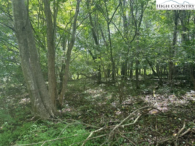 Image number 5 for the current listing