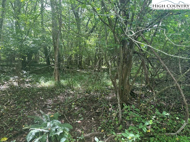 Image number 6 for the current listing