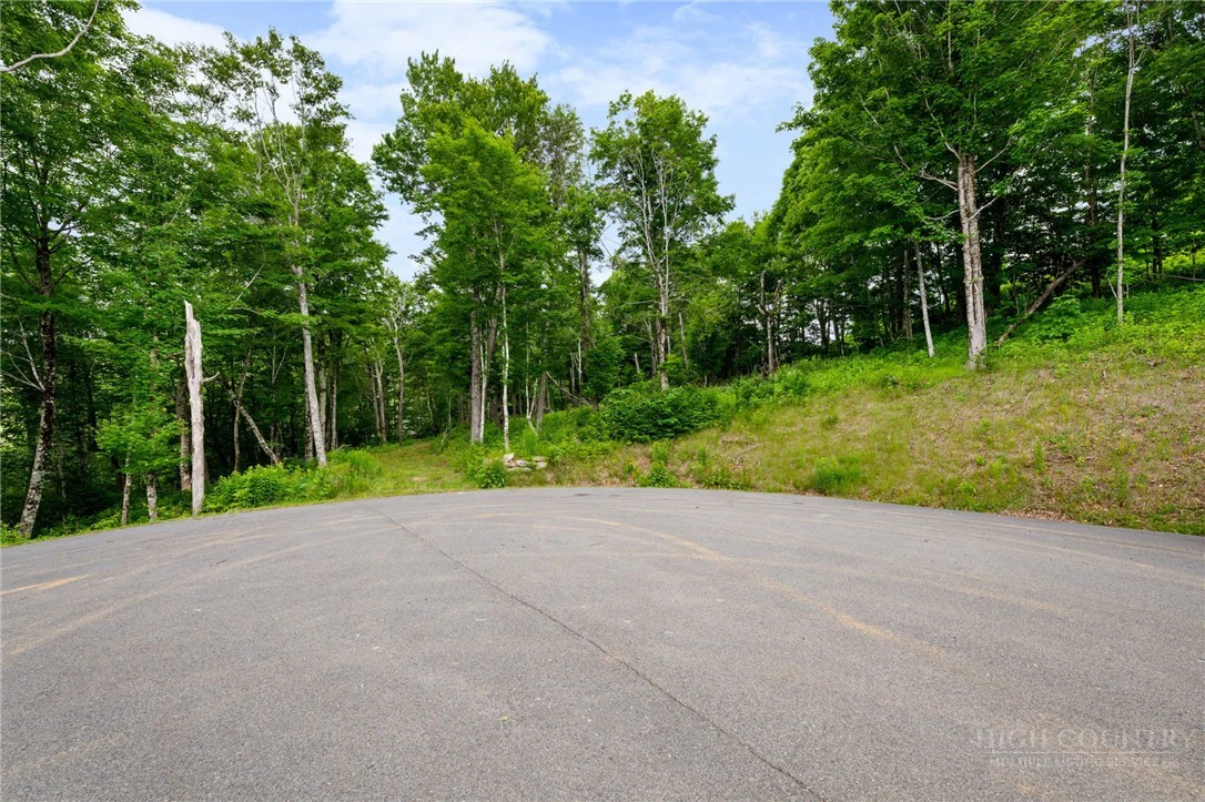 Image number 6 for the current listing