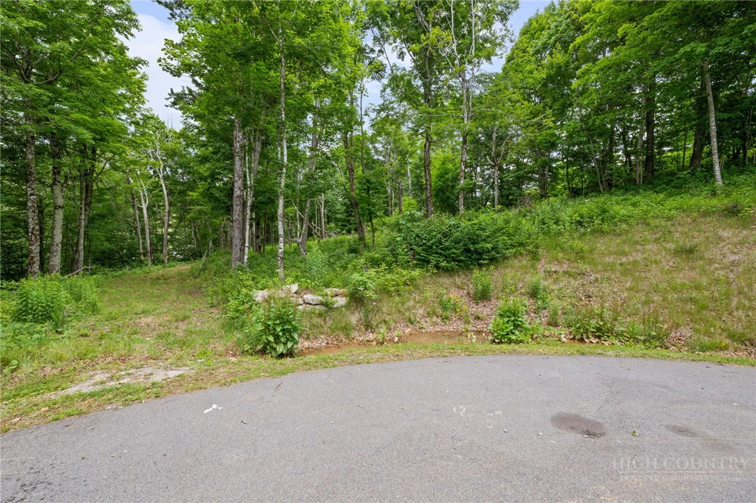 Image number 7 for the current listing