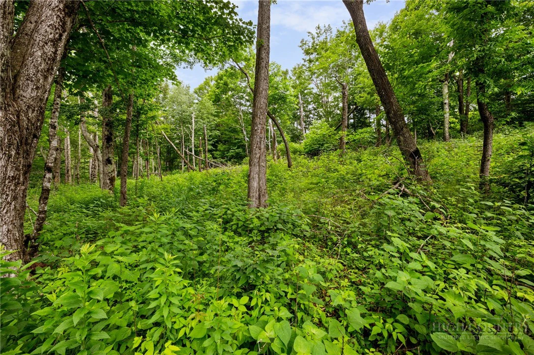 Image number 9 for the current listing