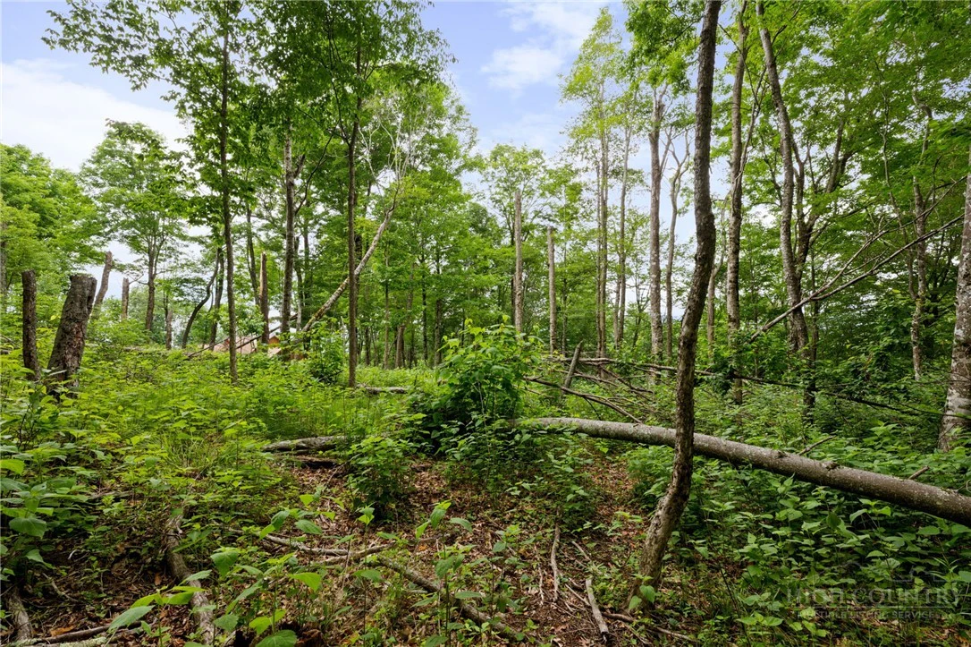 Image number 11 for the current listing