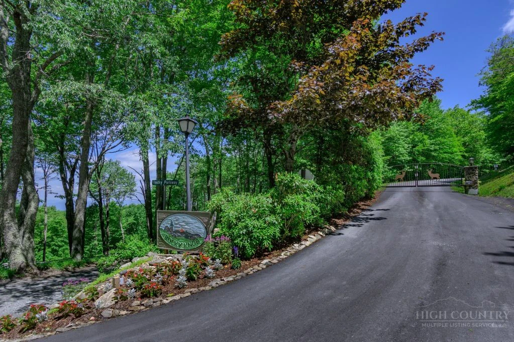 Image number 1 for the current listing