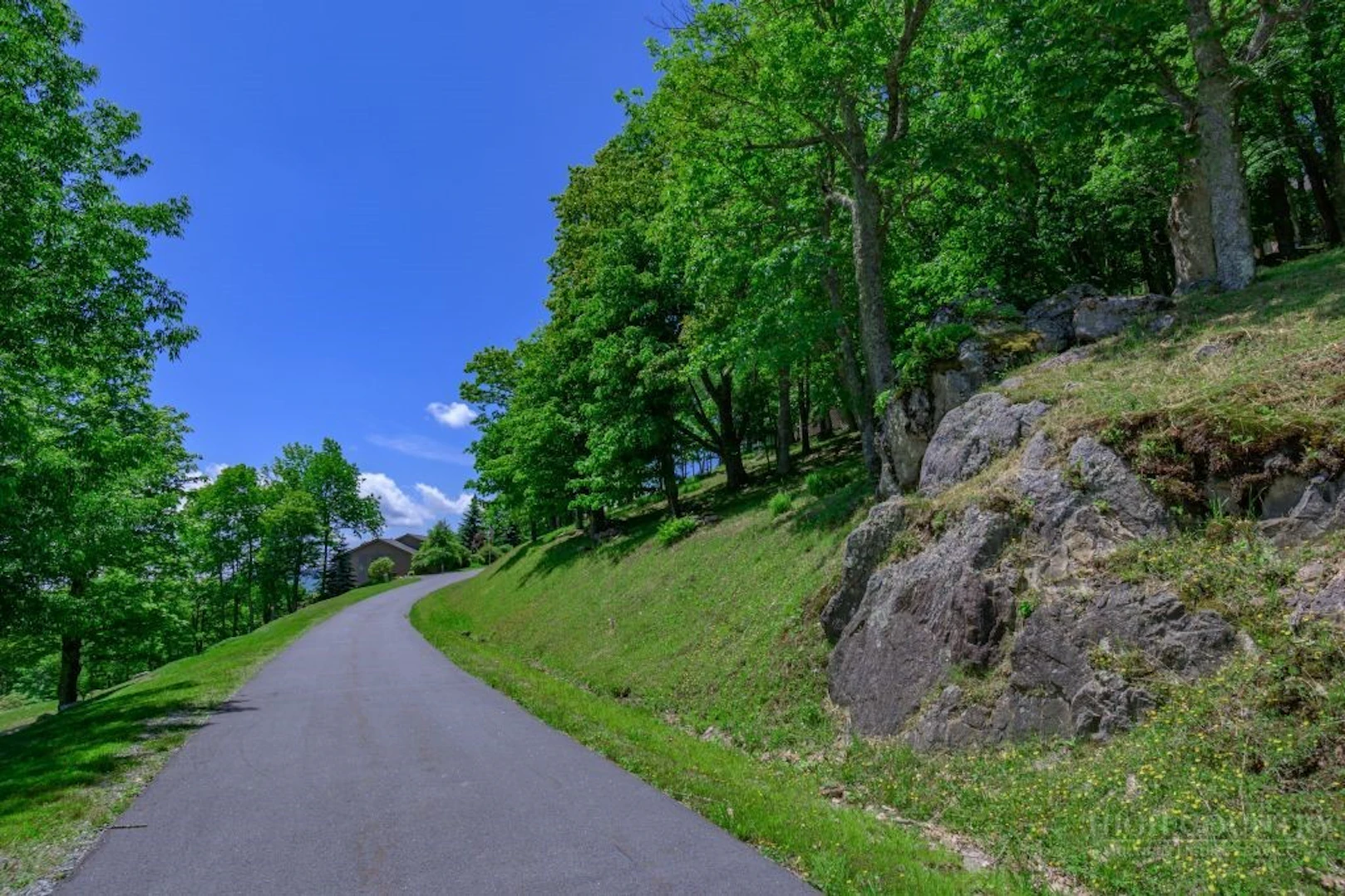 Image number 2 for the current listing