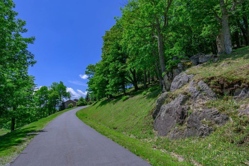 Image number 2 for the current listing