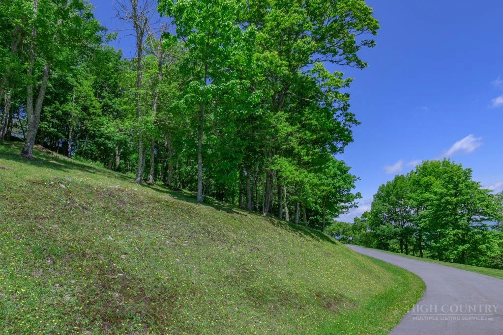 Image number 3 for the current listing