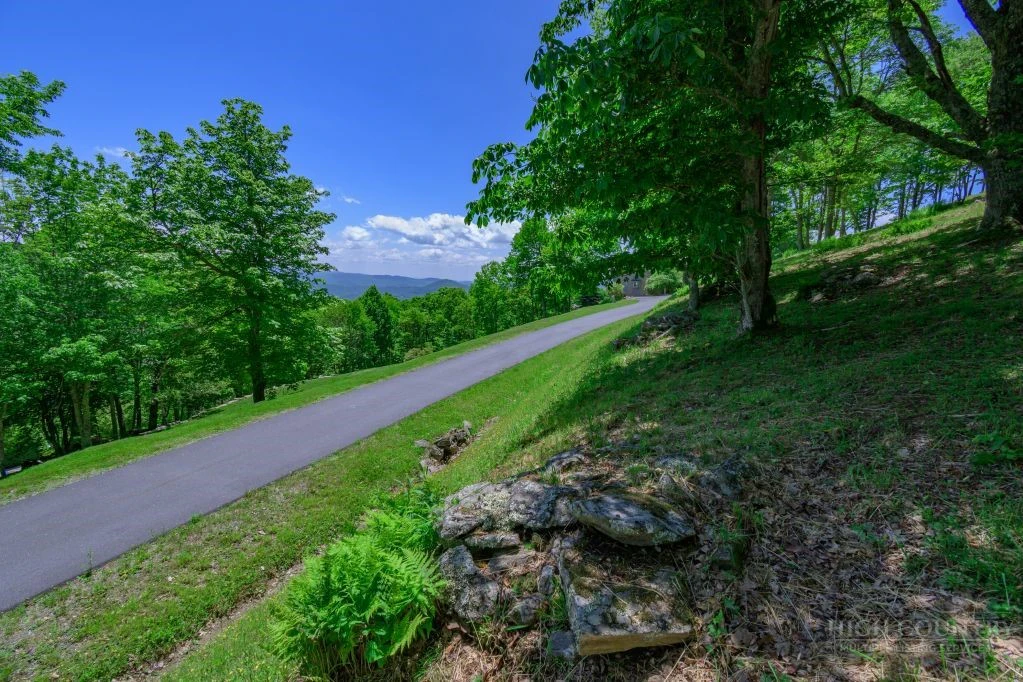 Image number 4 for the current listing