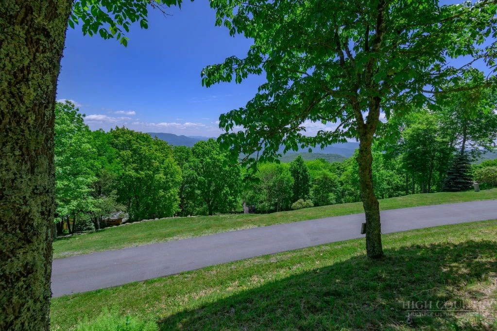 Image number 5 for the current listing
