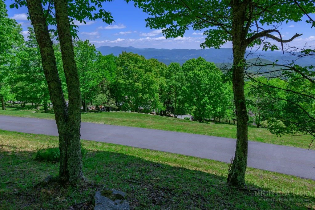 Image number 7 for the current listing