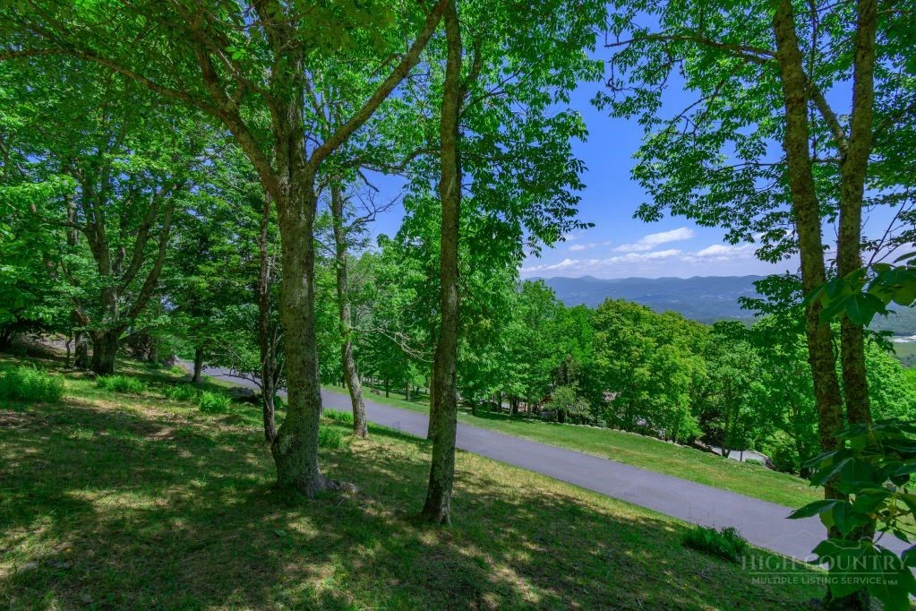 Image number 8 for the current listing