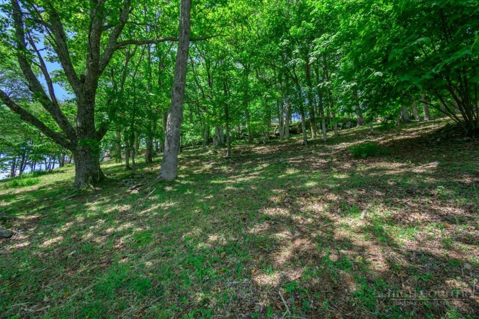 Image number 12 for the current listing