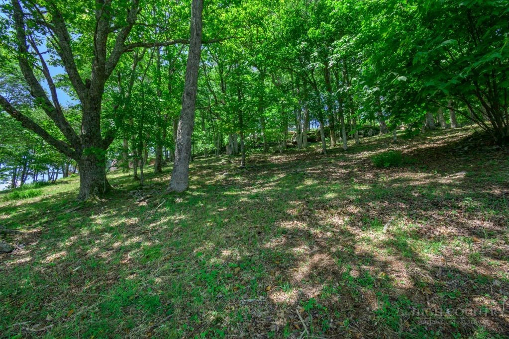 Image number 12 for the current listing