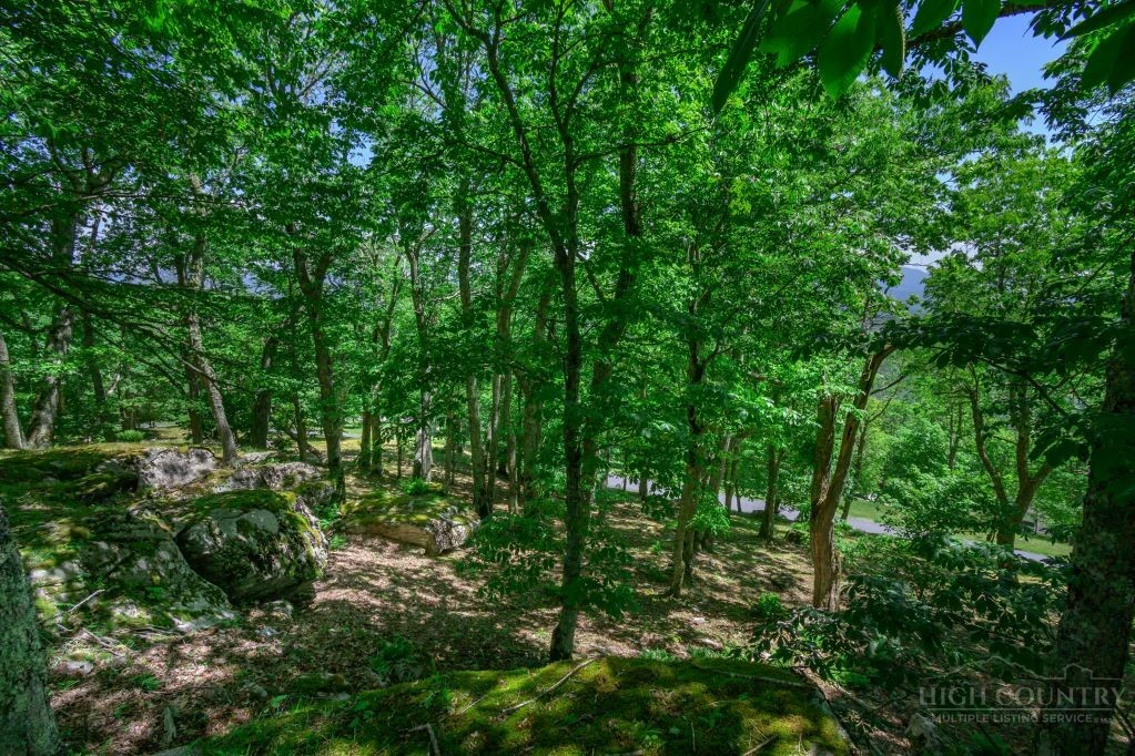 Image number 14 for the current listing