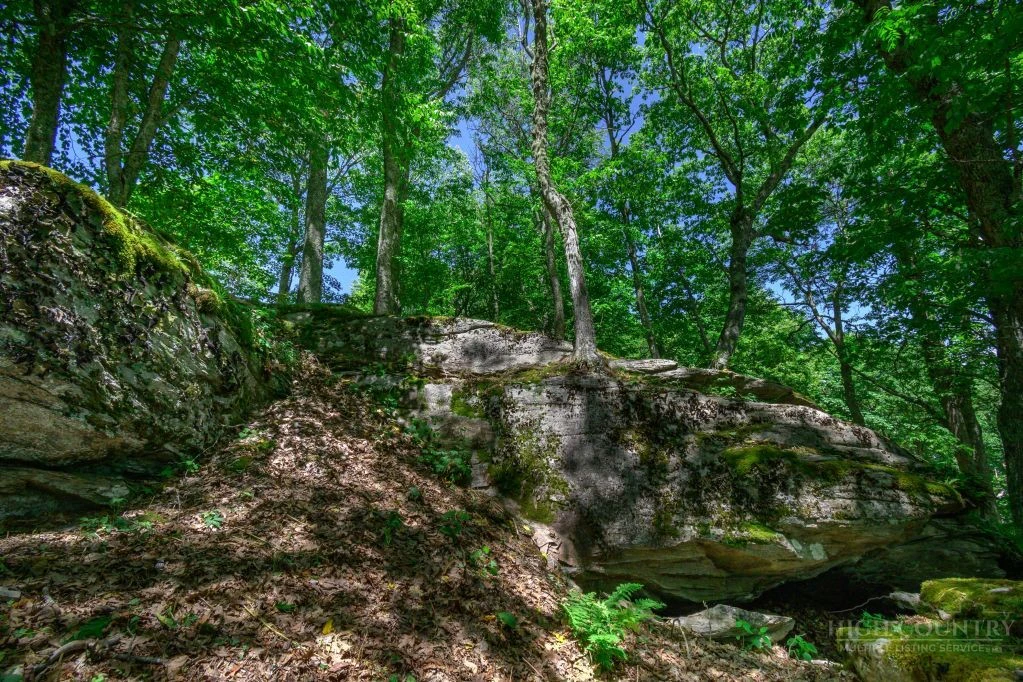 Image number 16 for the current listing