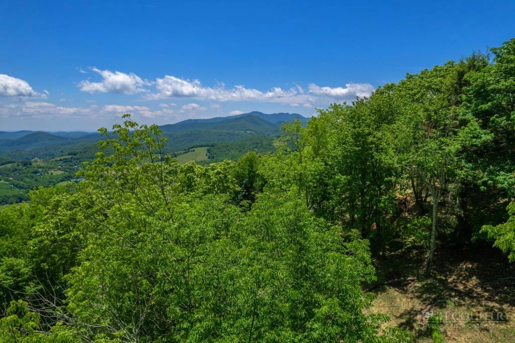 Image number 21 for the current listing