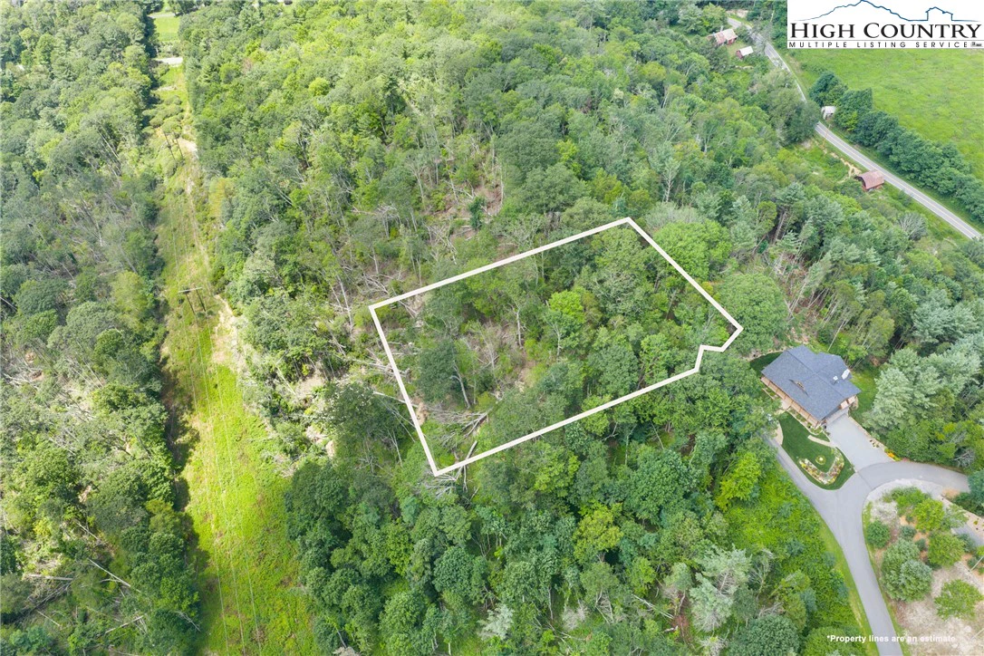 Image number 1 for the current listing