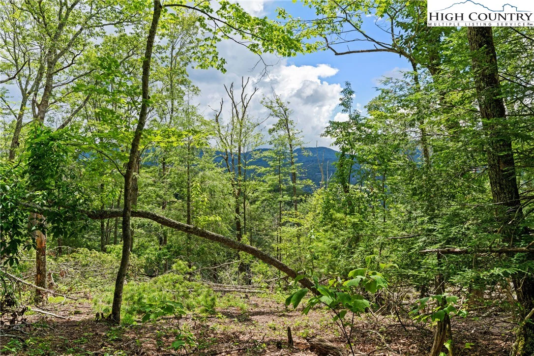 Image number 3 for the current listing