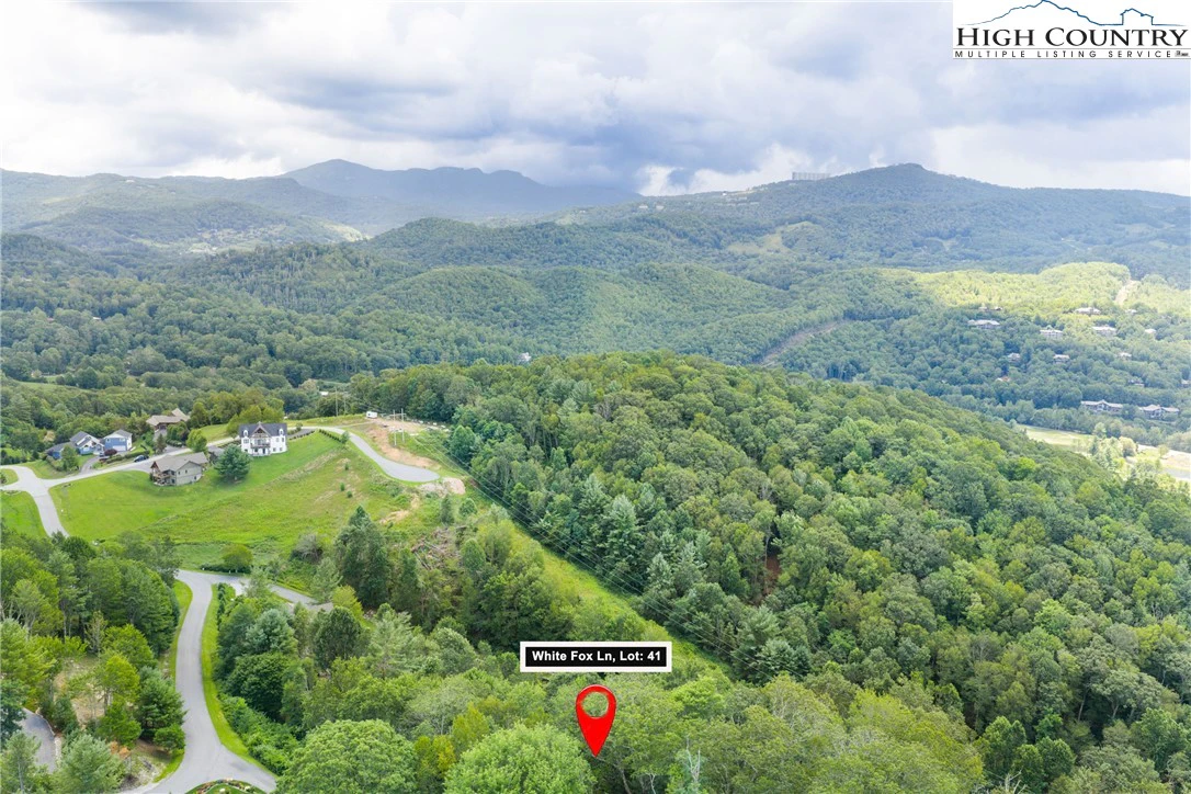 Image number 4 for the current listing