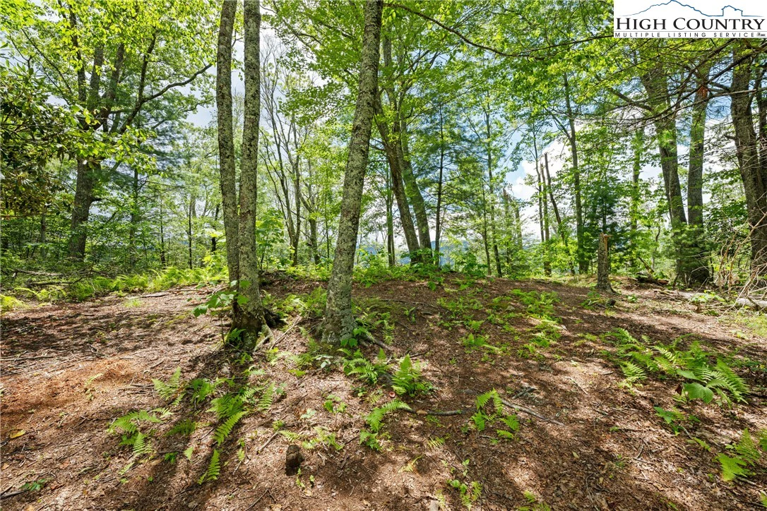 Image number 5 for the current listing