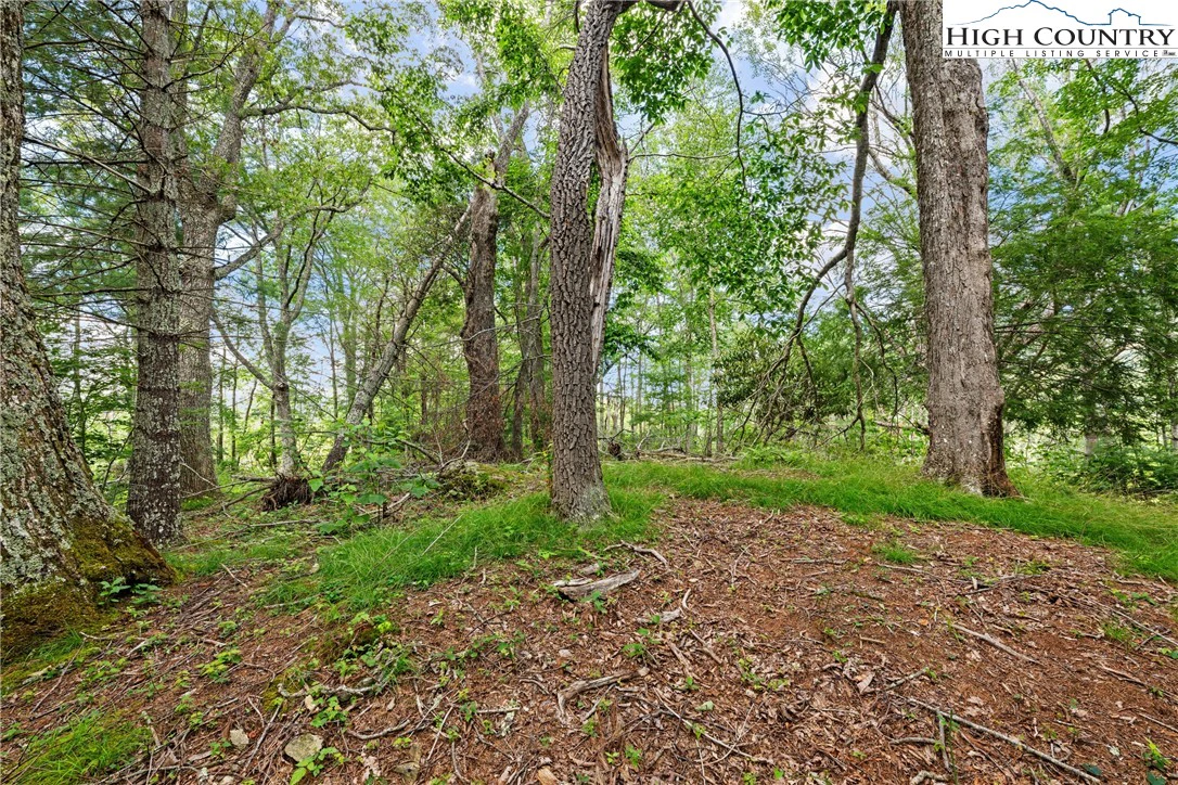 Image number 9 for the current listing