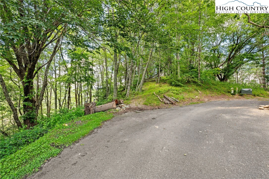 Image number 10 for the current listing