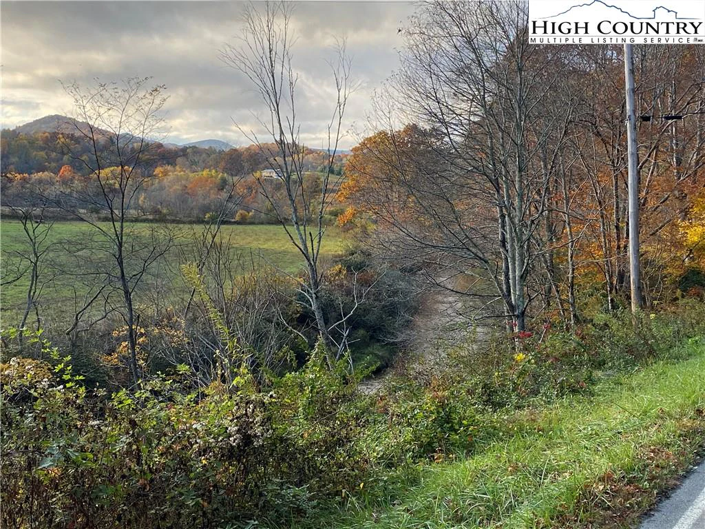 Image number 1 for the current listing
