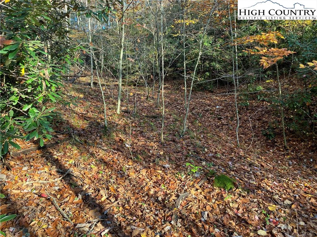 Image number 3 for the current listing