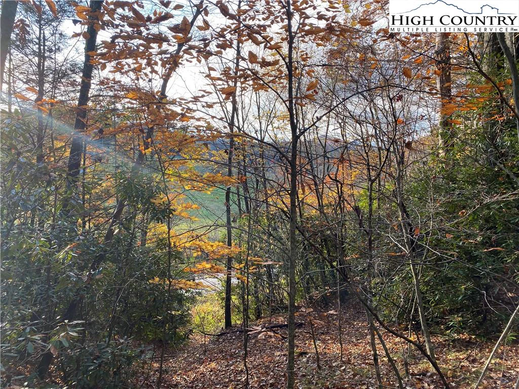 Image number 4 for the current listing