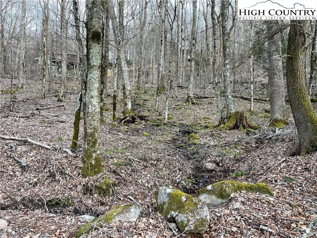 Image number 5 for the current listing