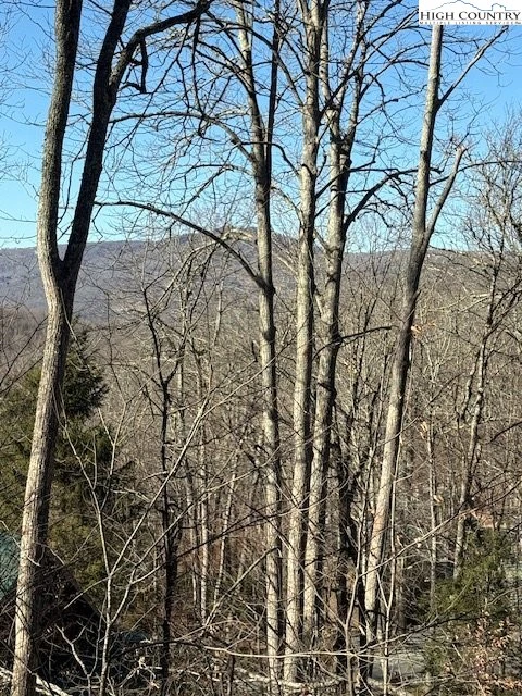 Image number 1 for the current listing