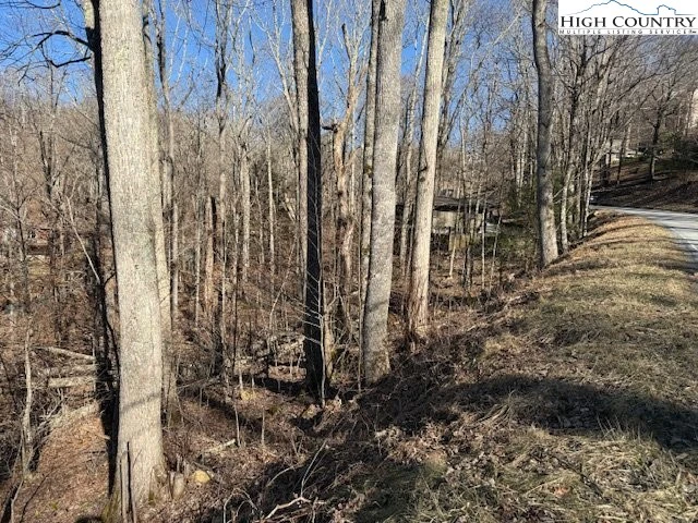 Image number 3 for the current listing