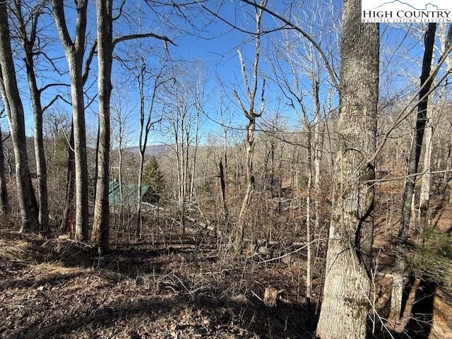 Image number 4 for the current listing