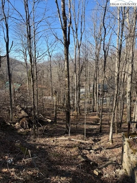 Image number 5 for the current listing