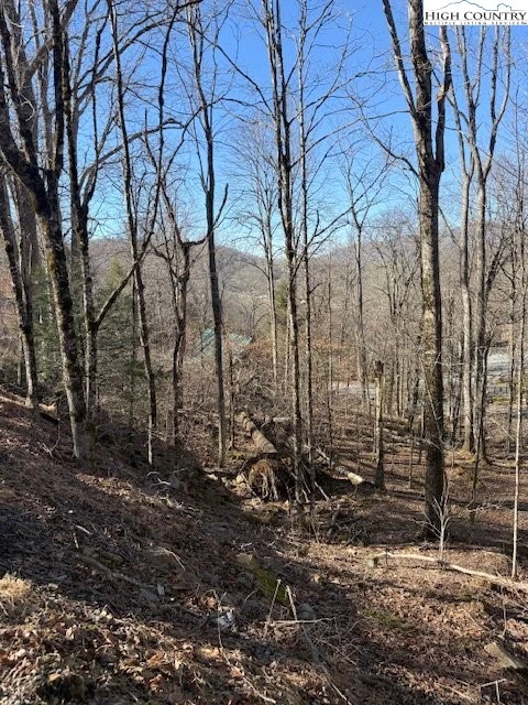 Image number 6 for the current listing