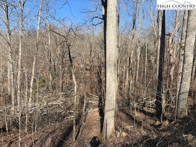 Image number 7 for the current listing