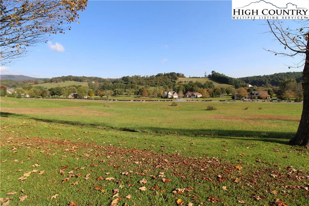 Image number 1 for the current listing