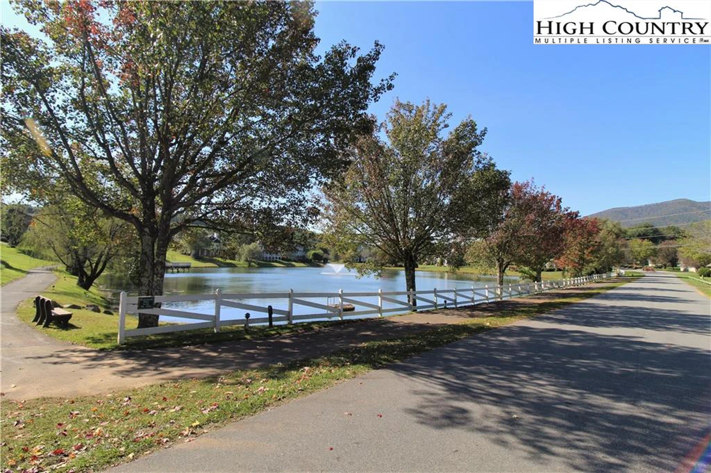 Image number 4 for the current listing