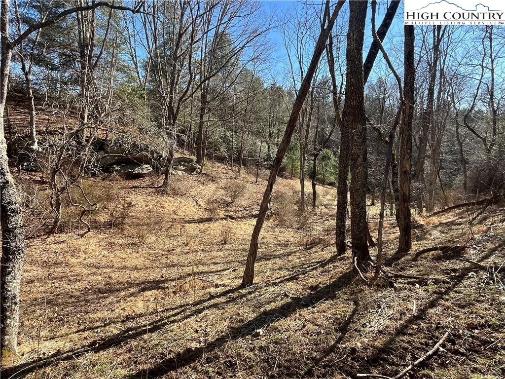 Image number 1 for the current listing
