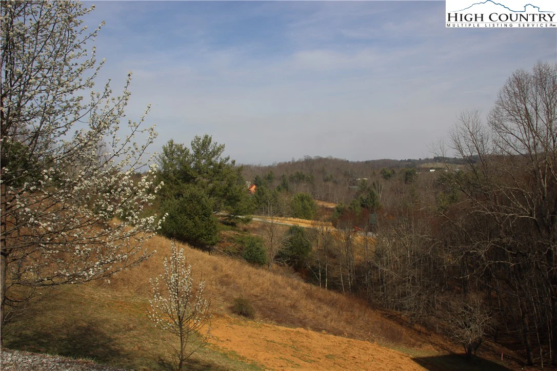Image number 14 for the current listing