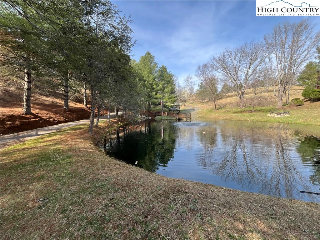 Image number 15 for the current listing