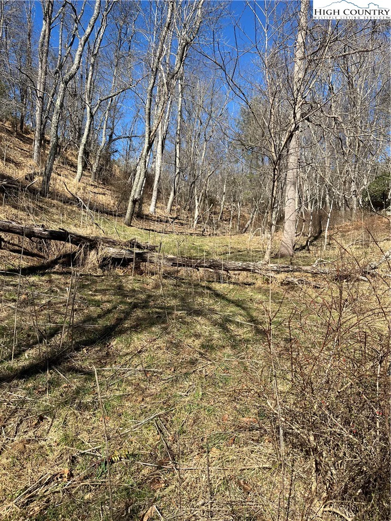Image number 12 for the current listing