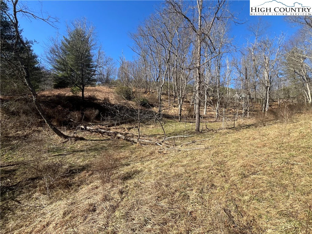 Image number 3 for the current listing