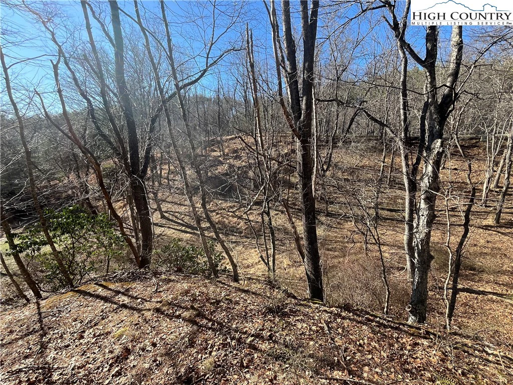 Image number 5 for the current listing