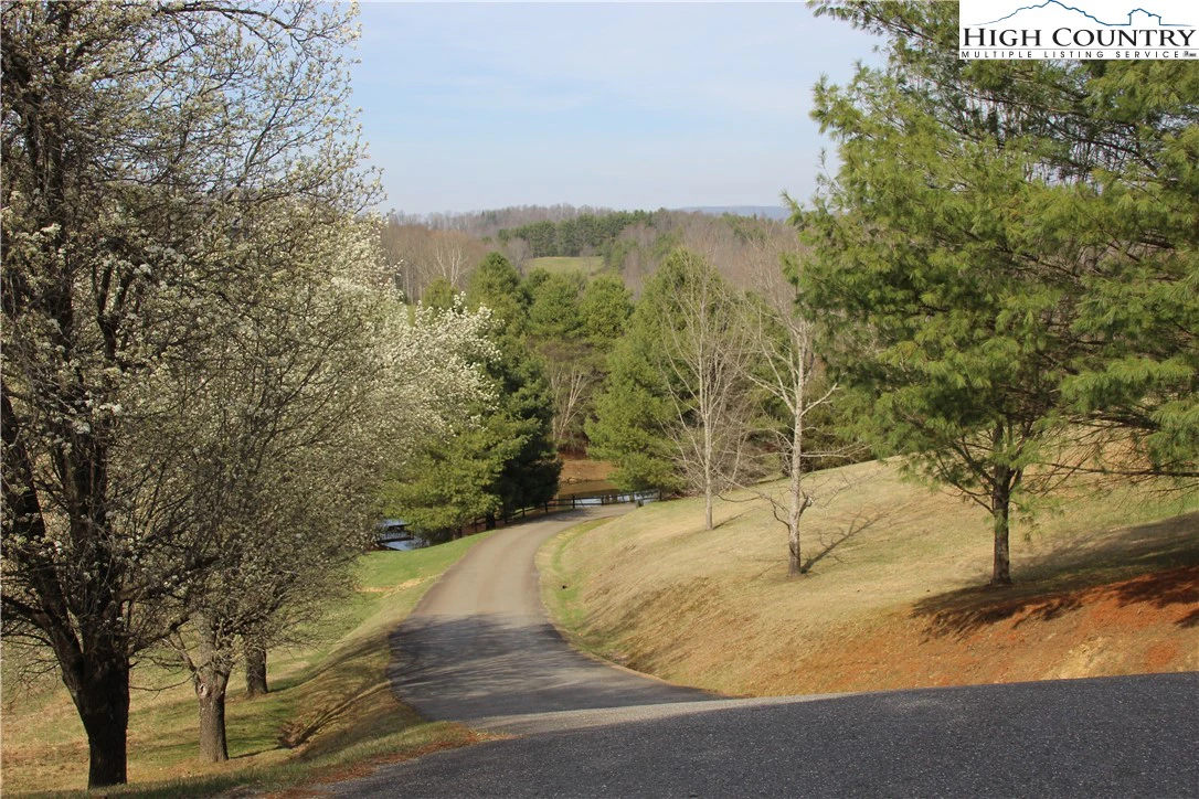 Image number 11 for the current listing